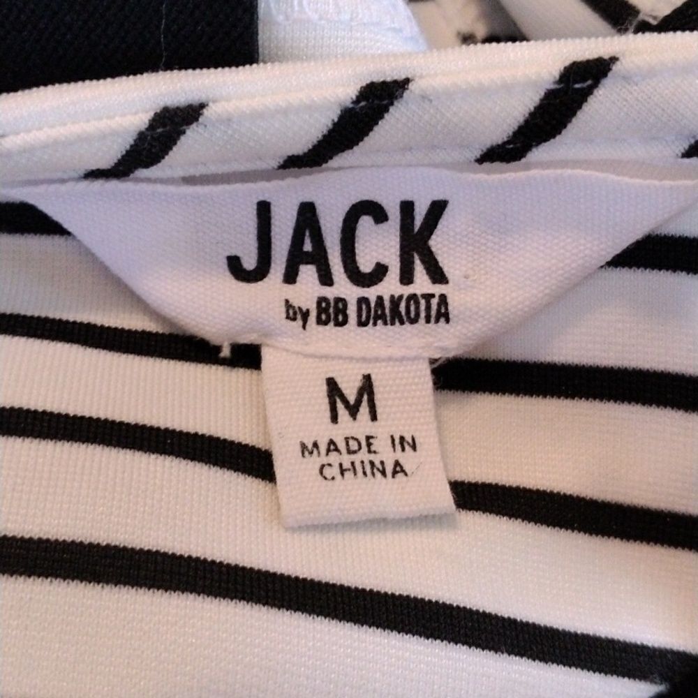 Jack by BB Dakota Striped Sheath - Picture 7 of 10
